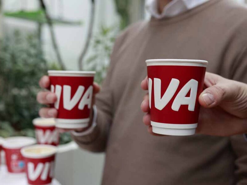 Kafa prijatelj vozača: kratka istorija, vrste, priprema i dejstvo na organizam
