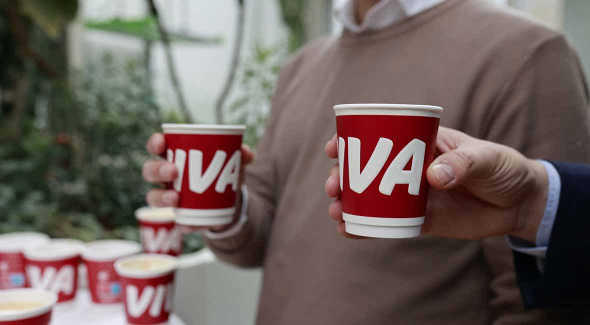Kafa prijatelj vozača: kratka istorija, vrste, priprema i dejstvo na organizam