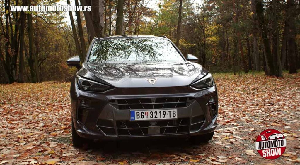 Cupra Terramar, Shark Nose